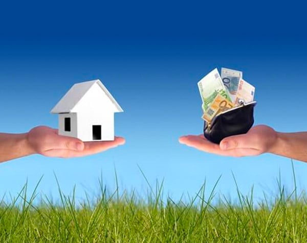 Should I have a Fixed, Variable or Split Rate home loan?