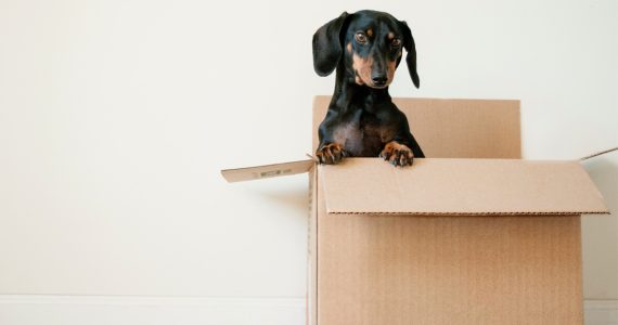 How to escape renting and get into the property market
