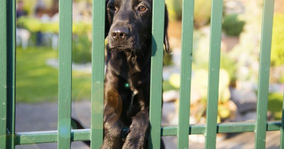 Breaking out of mortgage prison: can easing serviceability buffers help?
