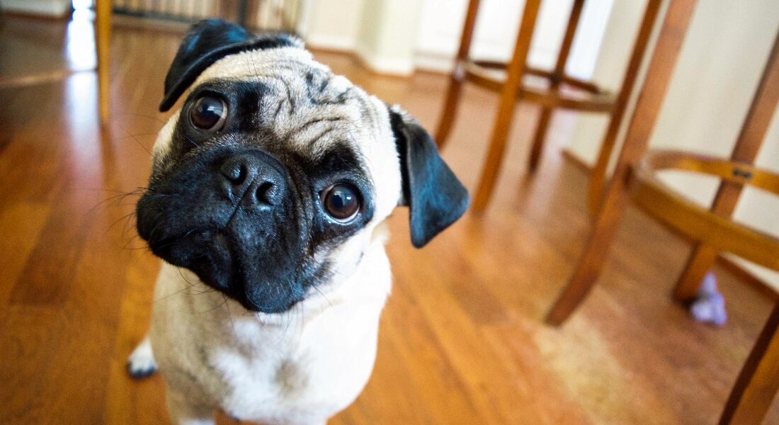 Myth buster: do weekly repayments pay off an offset loan faster?